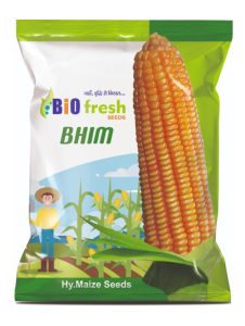 Bhim