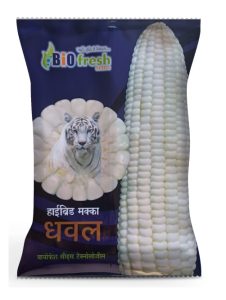 Dhaval