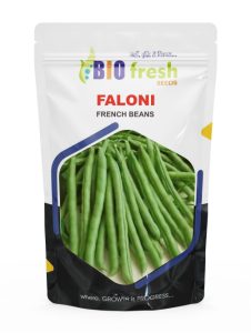 Faloni-2