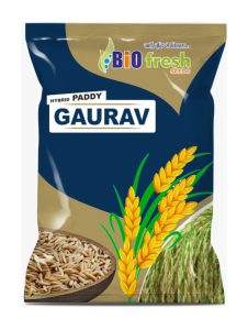 Gaurav