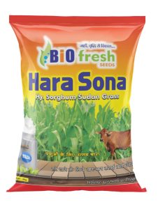 Hara-sona