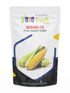 Mishri75