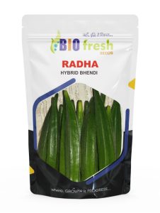 Radha