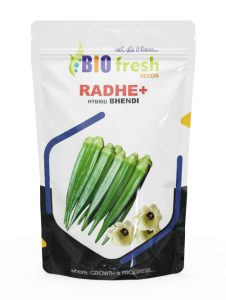 Radhe-Plus