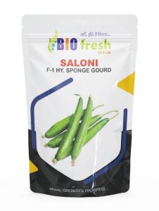 Saloni