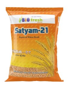 Satyam-21