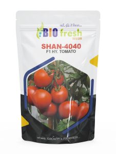 Shahn-tamato