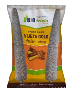 Vijeta-gold