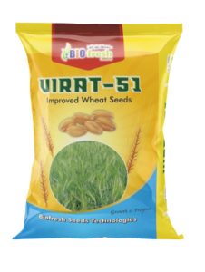Virat-51