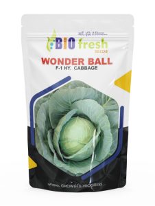 ball
