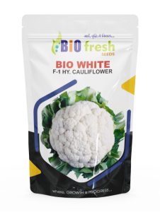 bio-white