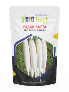 palak-patta