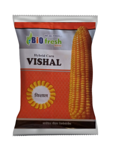 vishal